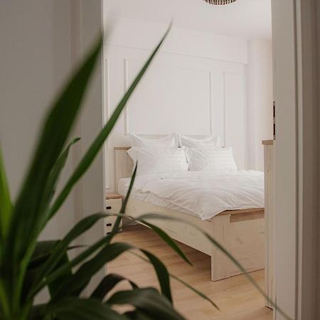 Modern Apartment In Timişoara Exterior foto