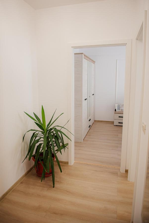 Modern Apartment In Timişoara Exterior foto