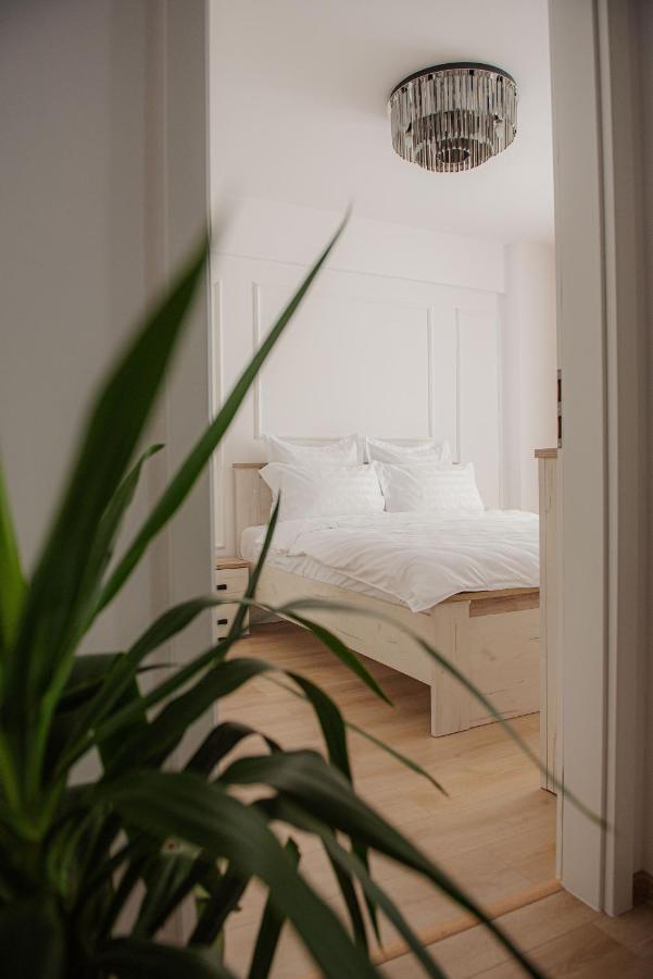 Modern Apartment In Timişoara Exterior foto